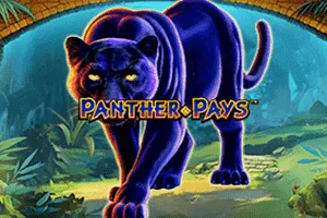 Panther Pays - LUCKYGAMING138
