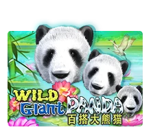 Joker123 : Wild Giant Panda - LUCKYGAMING138