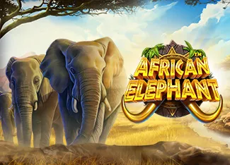 Pragmatic : African Elephant - LUCKYGAMING138
